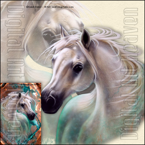 SandiBaker-Copperhorse